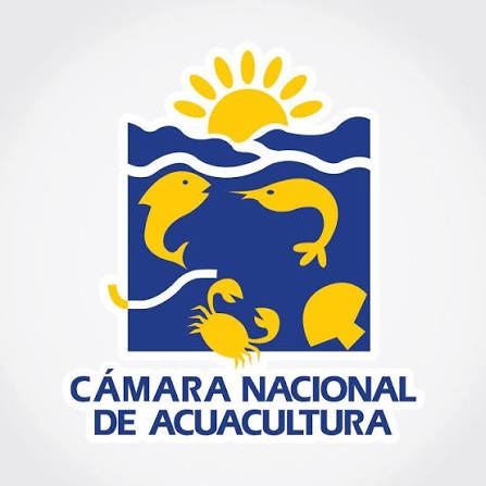 CNA logo